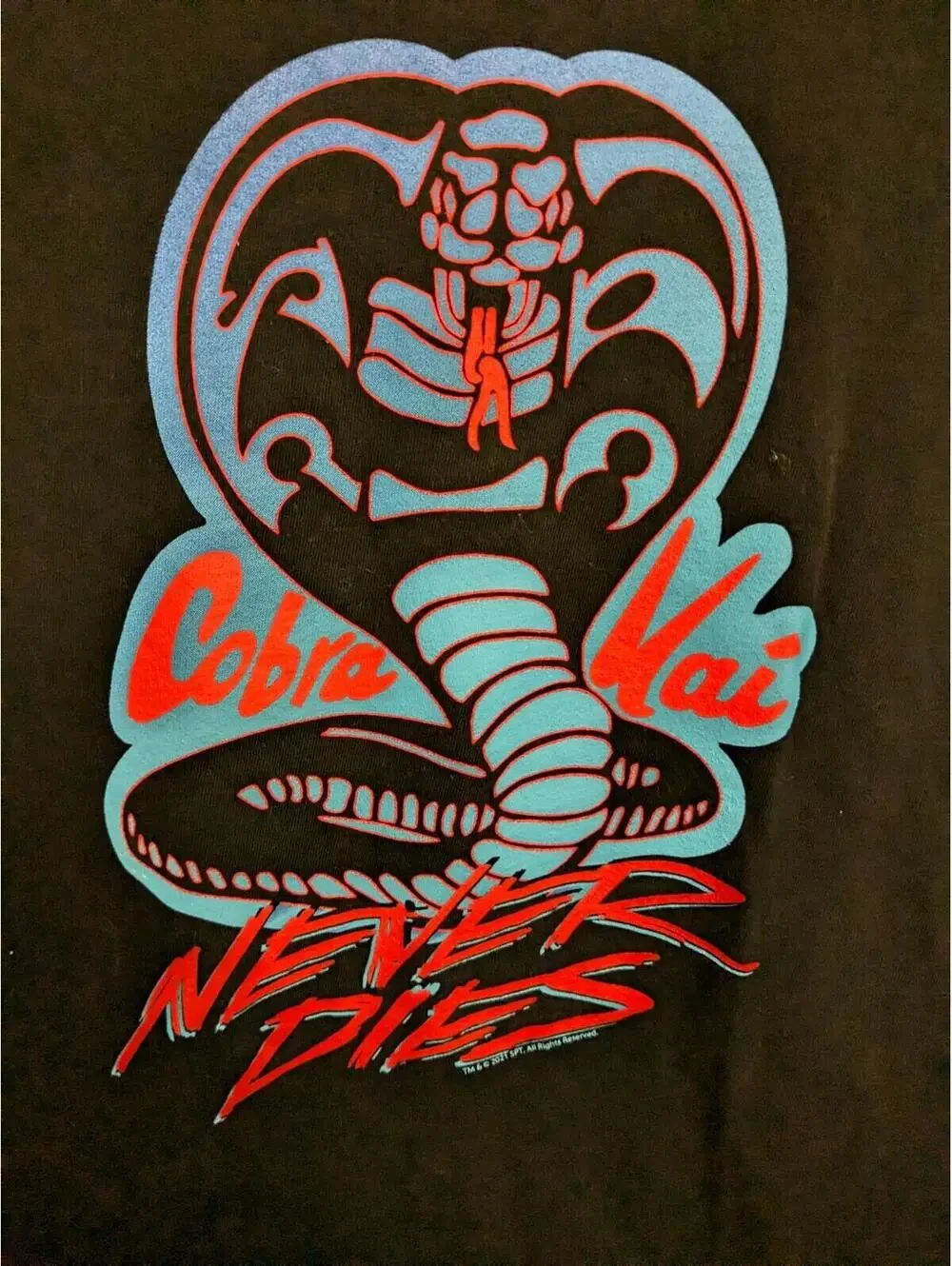 Cobra Kai Never Dies Old Navy Kids T-Shirt, Large (10-12)